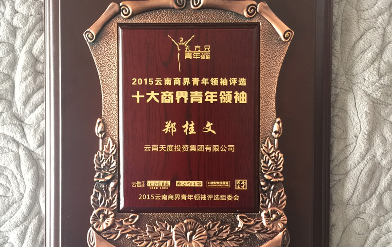 在“互联网大时代”的背景下，williamhill官网作为本土很大和很有名的互联网服务企业，为近万家传统企业转型互联网+提供了服务和帮助，获此奖项后，williamhill官网将再接再厉，创造更高的社会价值
